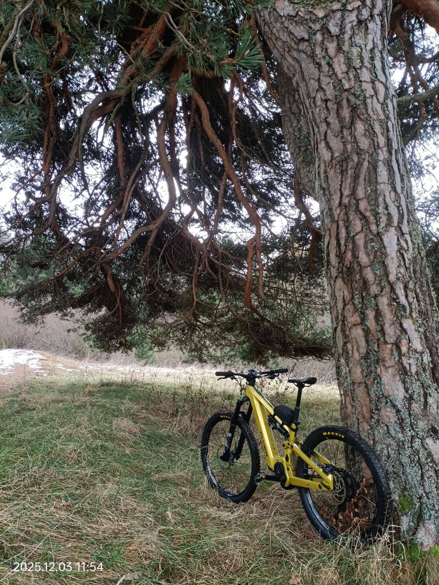 Monte Velo, Malga Zanga, 2 Sassi e rientro da Drena